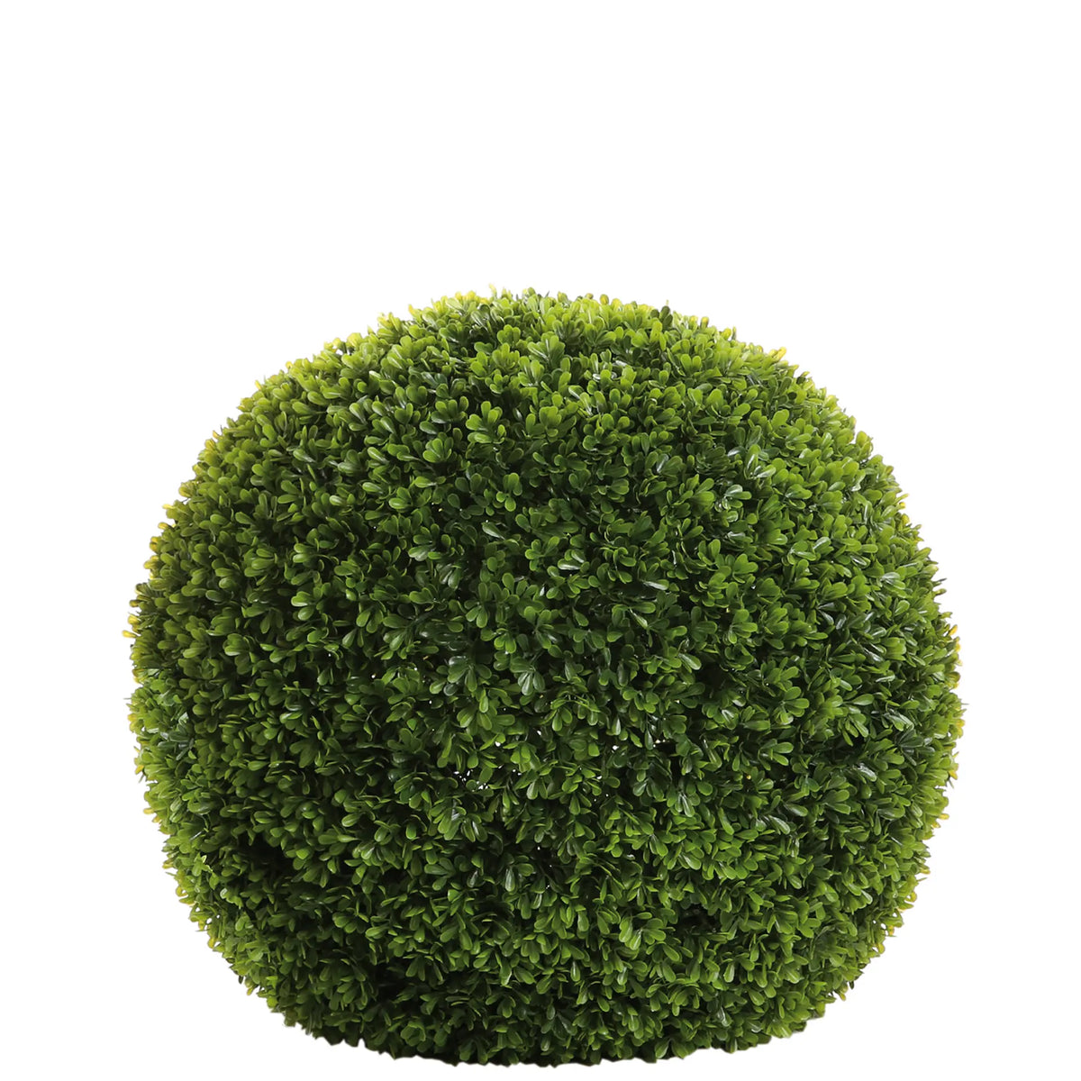 Buchskugel – Kunststoff, UV-Beständig, Wetterfest - Buxus | Fink Living