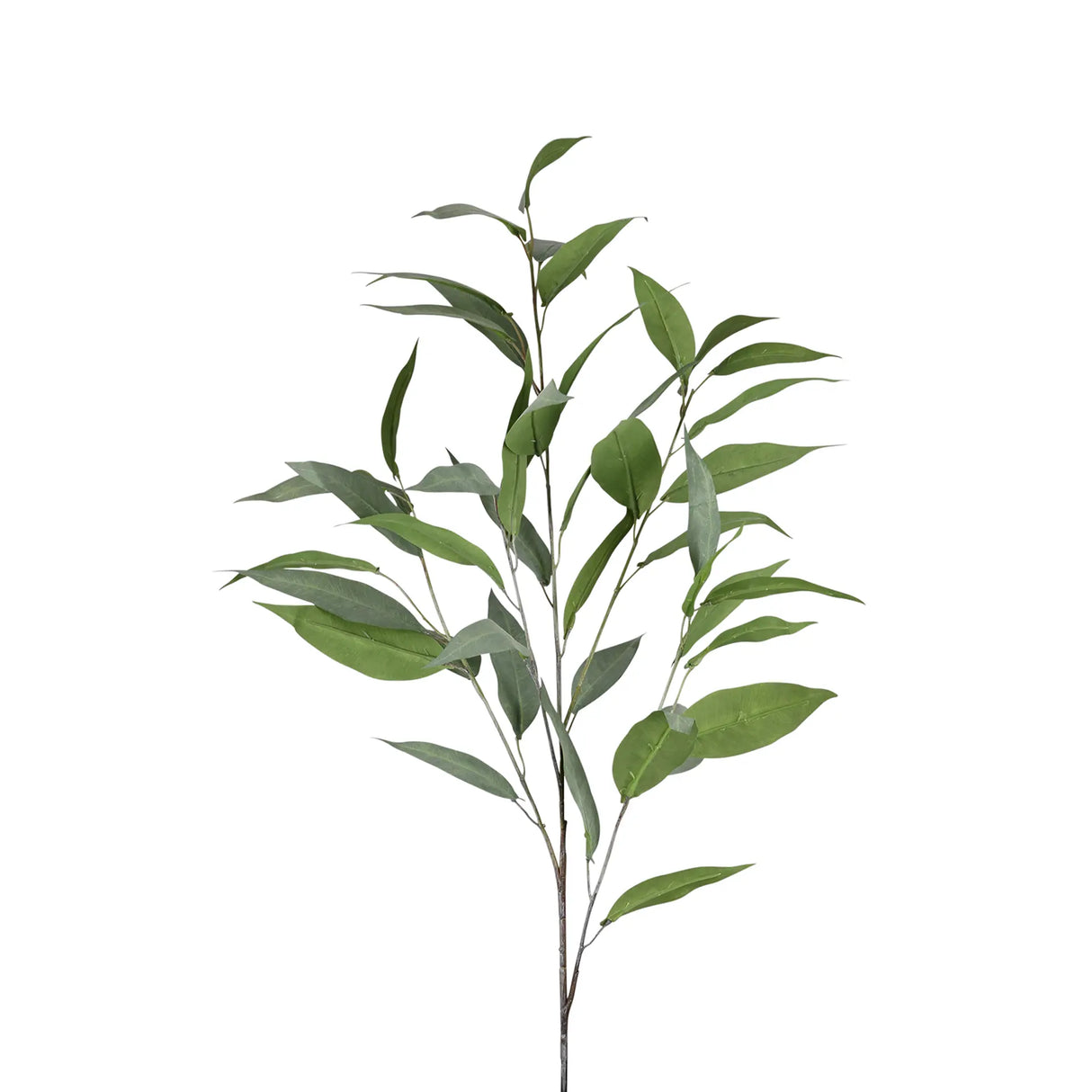 Kunstblume – Dunkles Grün, Feine Faser, Schöner Zweig - Myrtenzweig | Fink Living