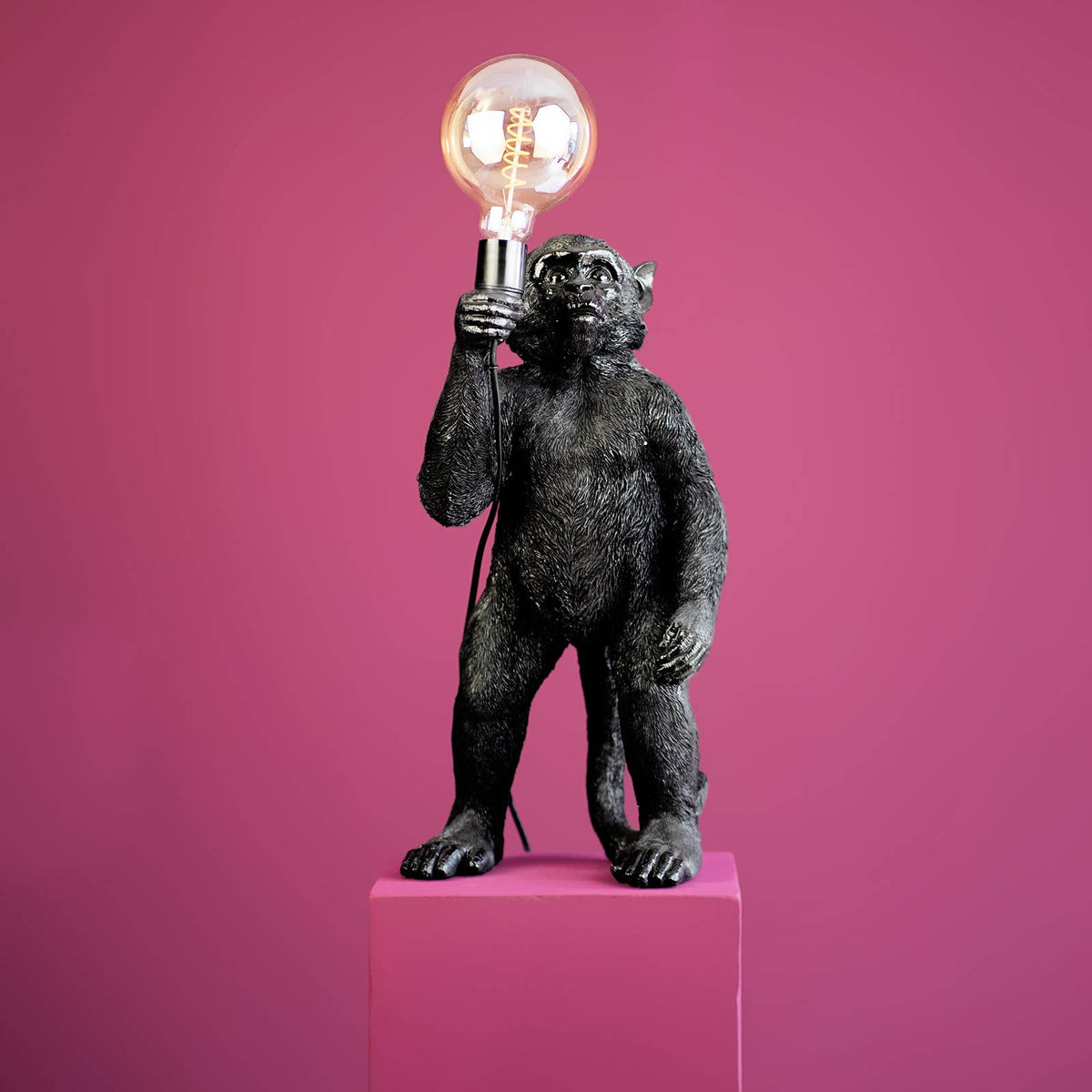 Floor Lamp – Sculptural Design, Playful Animal Motif, Polyresin Construction, Black Finish – Koko | WERNS