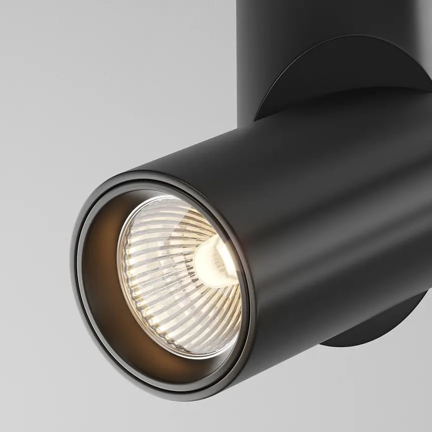 Deckenleuchte – Schwarze Optik, RA90 Farbwiedergabe, 38° Lichtkegel - Dafne | Maytoni