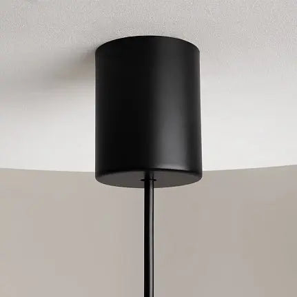 Pendant Light Black Metal Frame with White Glass Shade – The Sixth Sense Z020PL-L6B3K | Maytoni