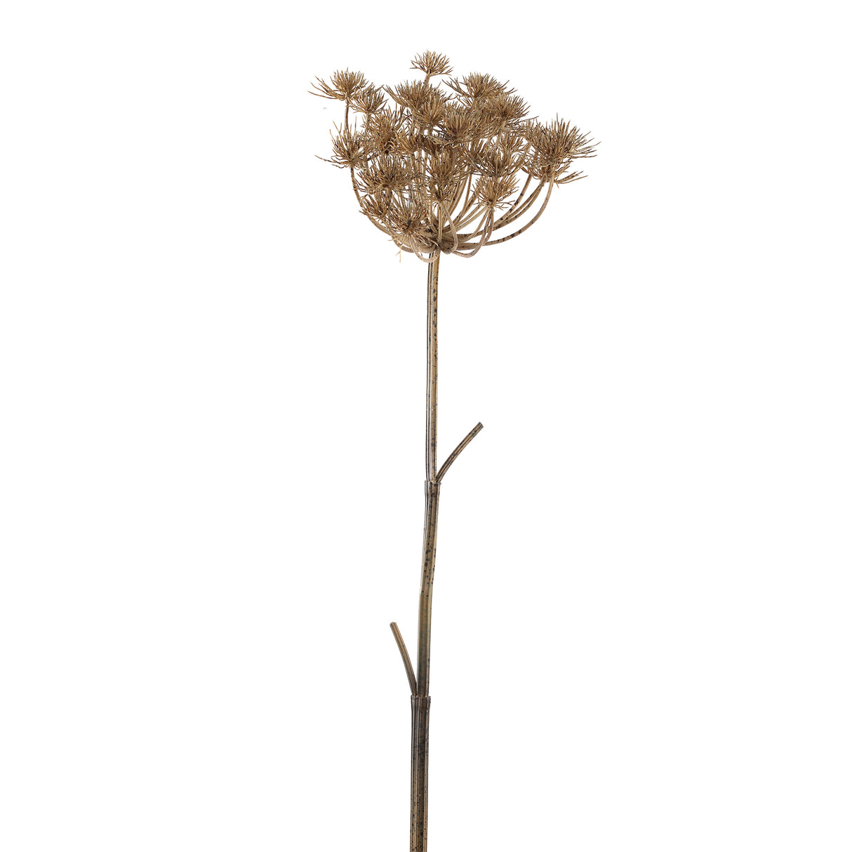 Art Branch - light brown large Mullein