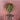 Kunstpflanze aus Kunststoff, hängende Form, dekorative Struktur – Succulent | PTMD - Esszett Luxury | Stilvolles Wohnen mit Charakter