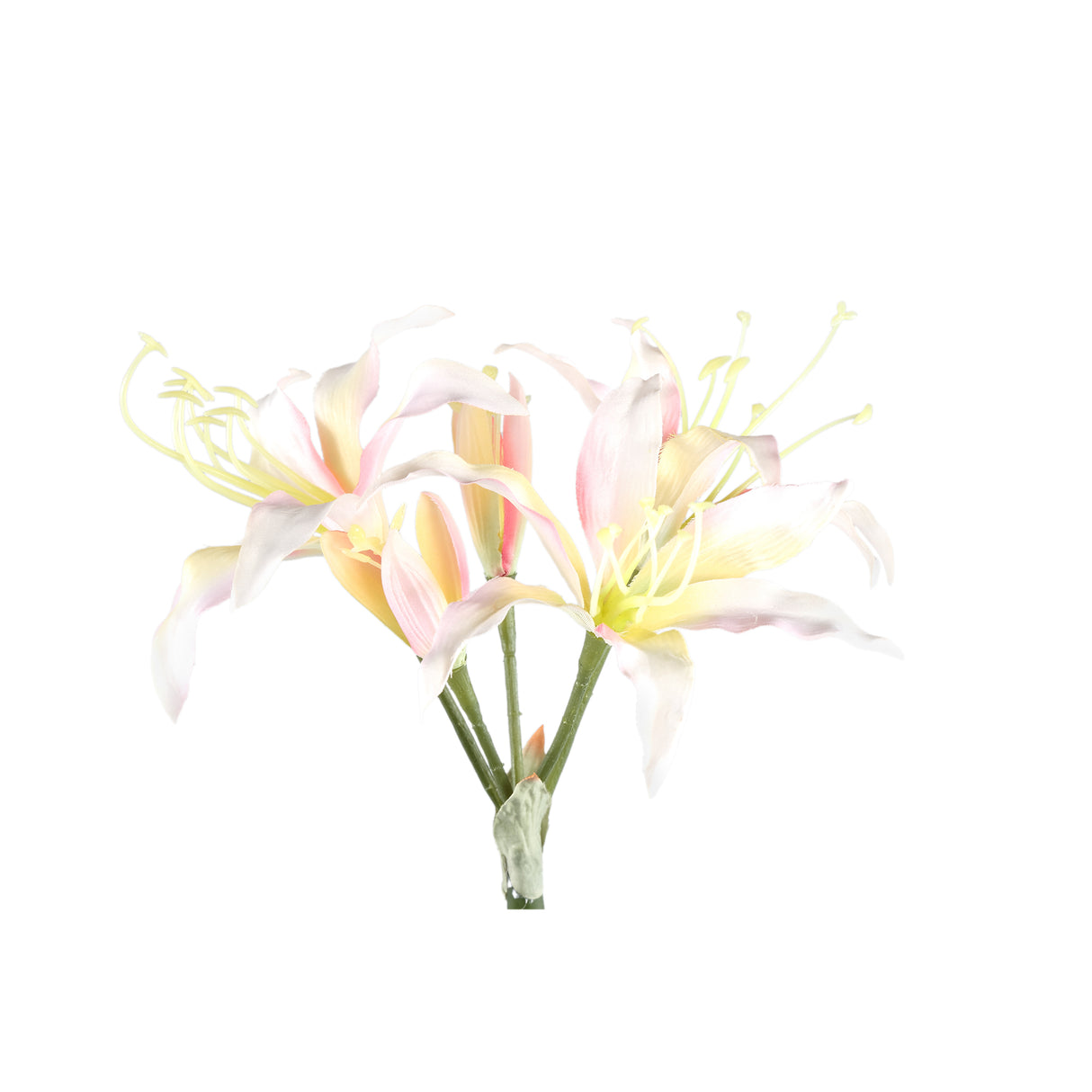 Amaryllisblume – Cremefarbene Amaryllis Spray, Polyestergewebe, Eisenmetall | PTMD