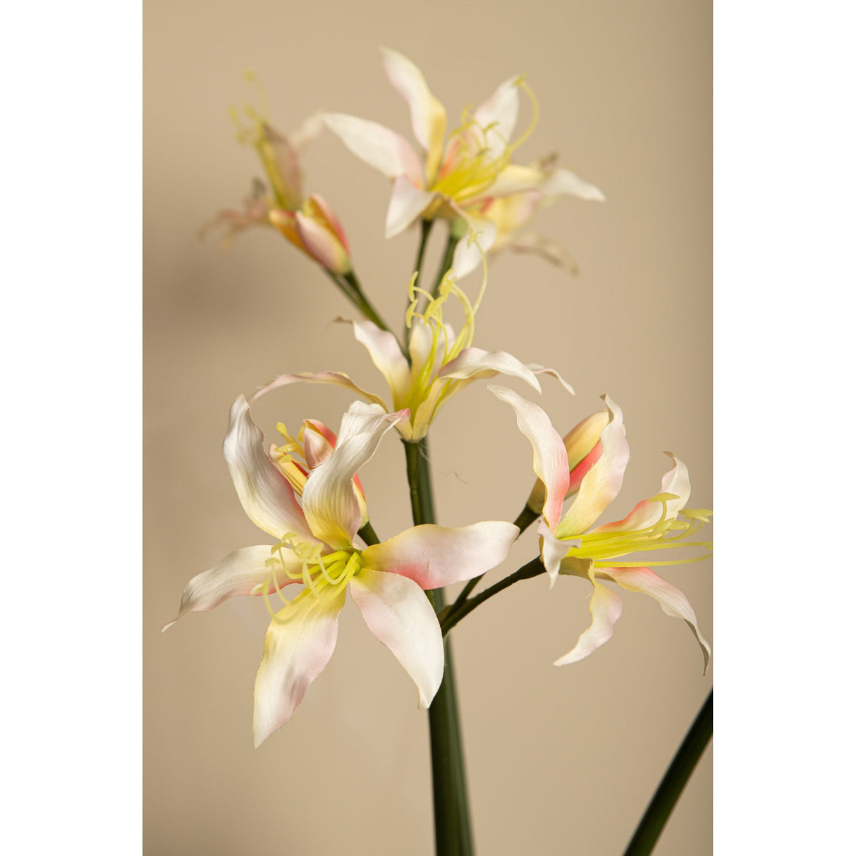 Amaryllisblume – Cremefarbene Amaryllis Spray, Polyestergewebe, Eisenmetall | PTMD