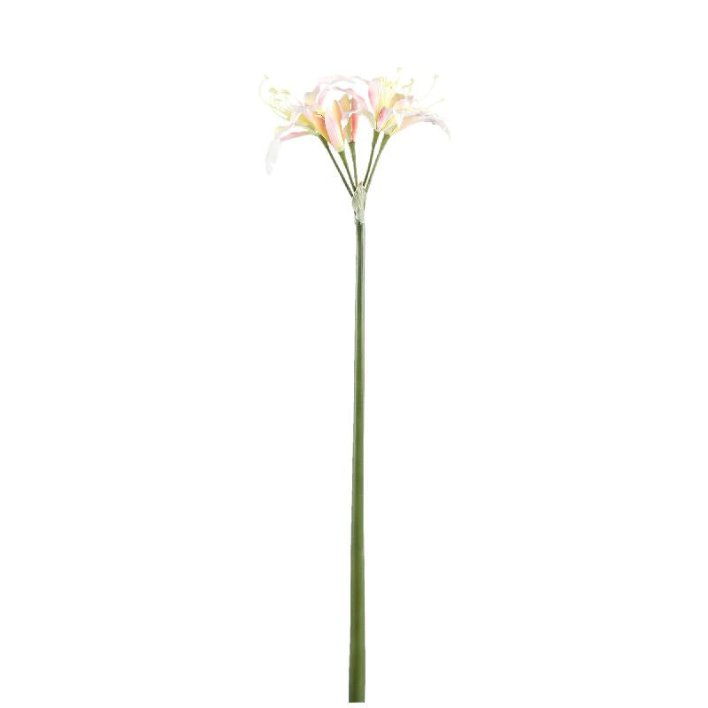 Amaryllisblume – Cremefarbene Amaryllis Spray, Polyestergewebe, Eisenmetall | PTMD
