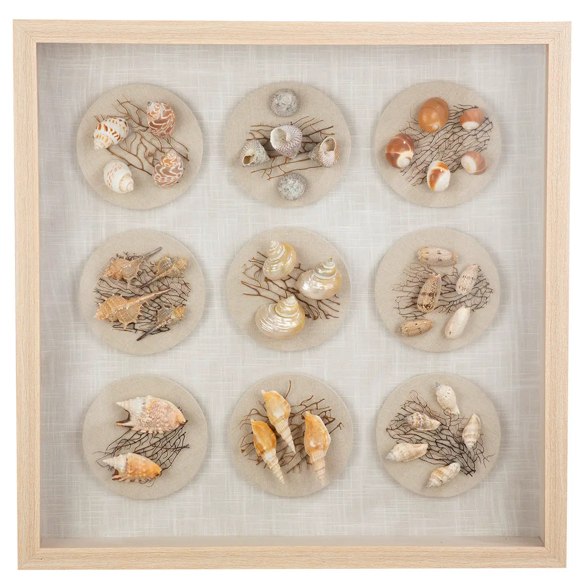 Wandbild – Muschelmotiv, Strukturierte Oberfläche, Natürliche Farbwelt, 60 cm - Beachhouse | Gilde