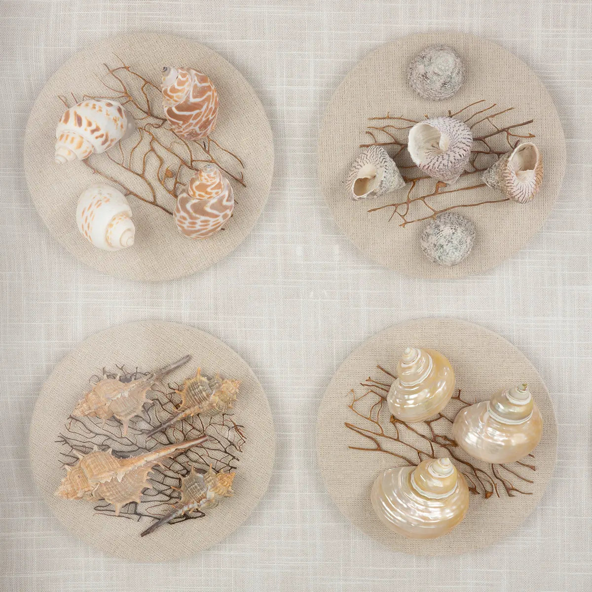 Wandbild – Muschelmotiv, Strukturierte Oberfläche, Natürliche Farbwelt, 60 cm - Beachhouse | Gilde