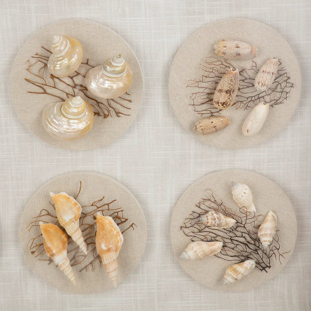 Wandbild – Muschelmotiv, Strukturierte Oberfläche, Natürliche Farbwelt, 60 cm - Beachhouse | Gilde