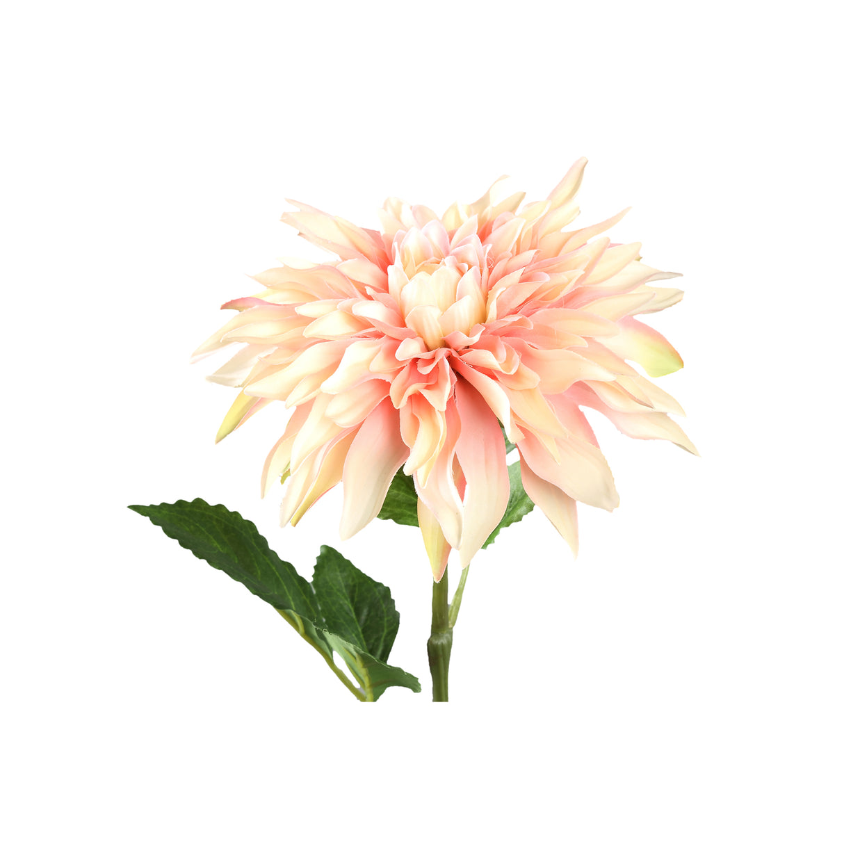 Dahlienblume – Orange-Gelbes Spray mit Blättern, Beschichtete Oberfläche, Polyester Material | PTMD