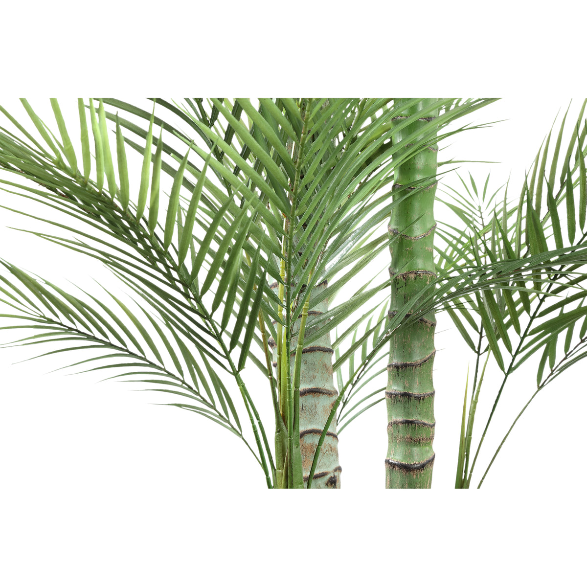 Tree Green - Green Palm, Handmade, PE Plastic, Black Pot | PTMD