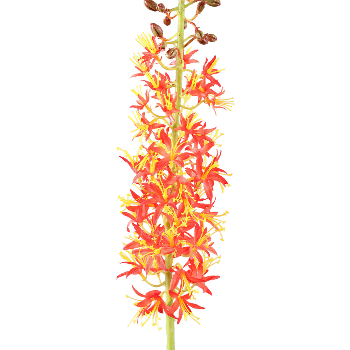 Zweigpflanze – Orange Eremurus-Zweig aus Polyesterstoff, Eisenmetall und PE-Kunststoff | PTMD