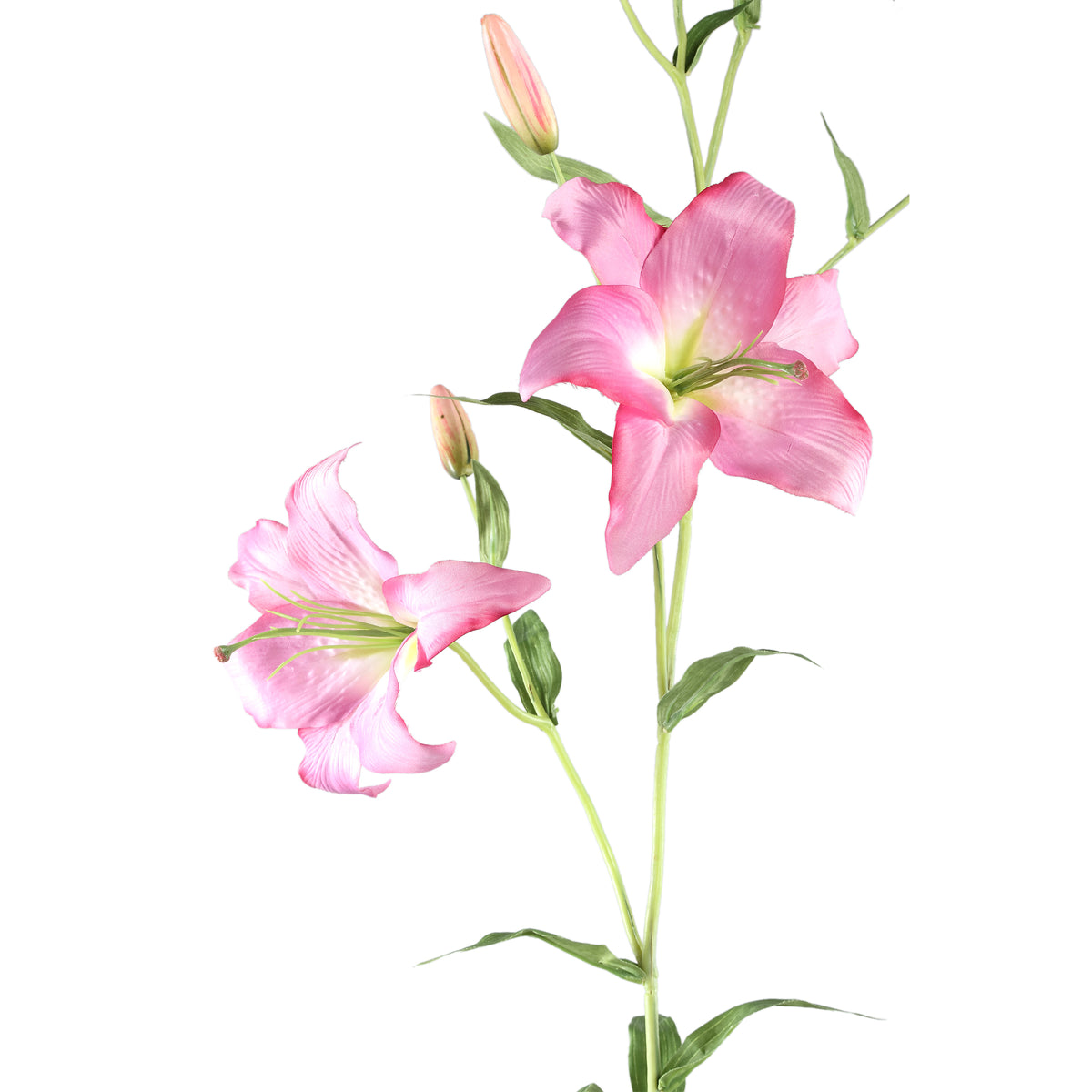 Lily flower – Violet lily branch with buds and leaves made of polyester, iron and PE plastic | PTMD