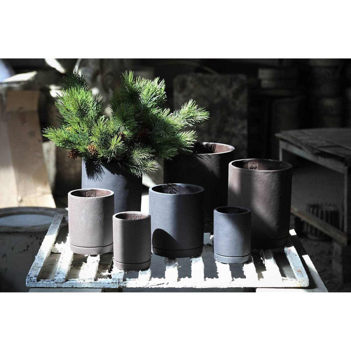 Flower Pot - Cylindrical Cement, Round Shape, Matt Finish, Dark Purple, S – Vik | PTMD