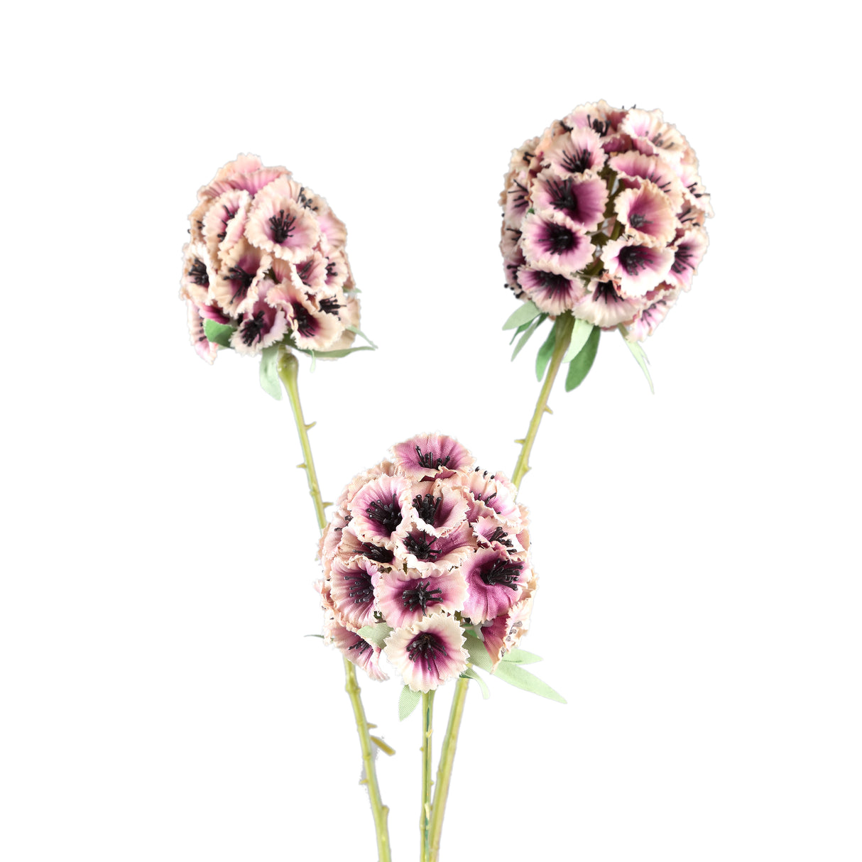 Gartenblume - Rosa Scabiosa Spray, Polyester, Halbhändig gefertigt | PTMD