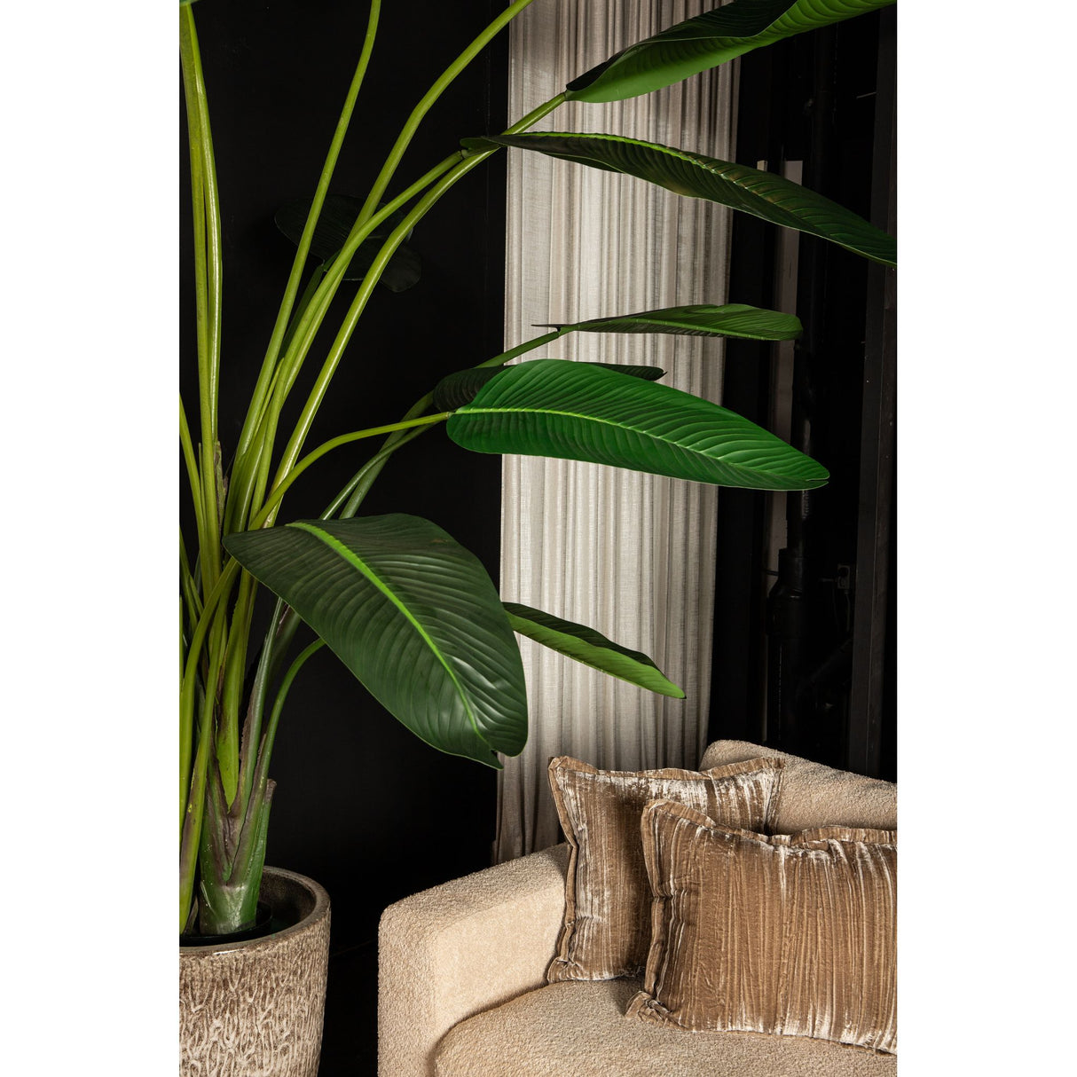 Kunstpflanze - PE Real Touch Strelitzia, Zement, Eisenmetall, PE Kunststoff, Handgefertigt, XL | PTMD