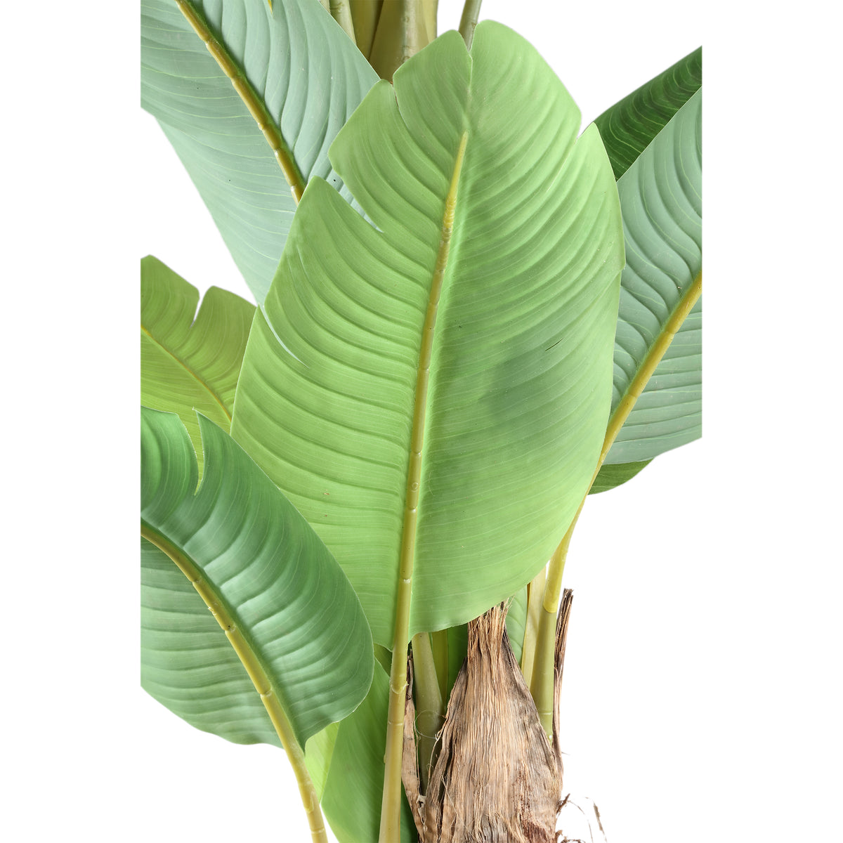 Baumgrün - PE Real Touch Banana Tree, Cement, Iron Metal, PE Plastic, Handmade, L | PTMD