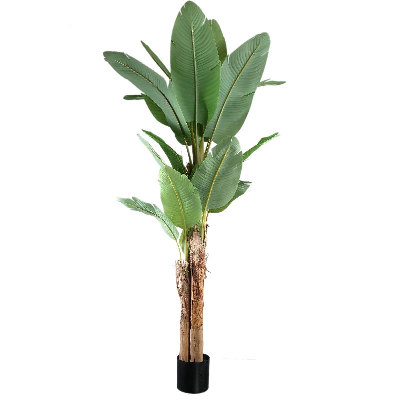 Baumgrün - PE Real Touch Banana Tree, Cement, Iron Metal, PE Plastic, Handmade, L | PTMD