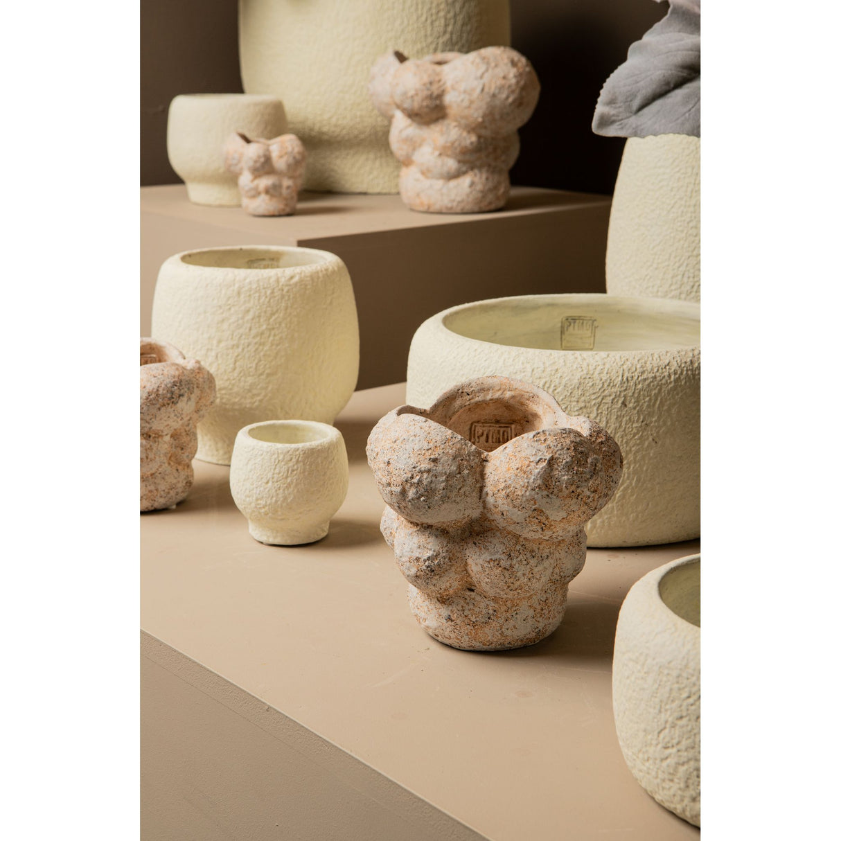 Plant Pot – Cement Material, Low Shape, White Color, M – Evelynn | PTMD