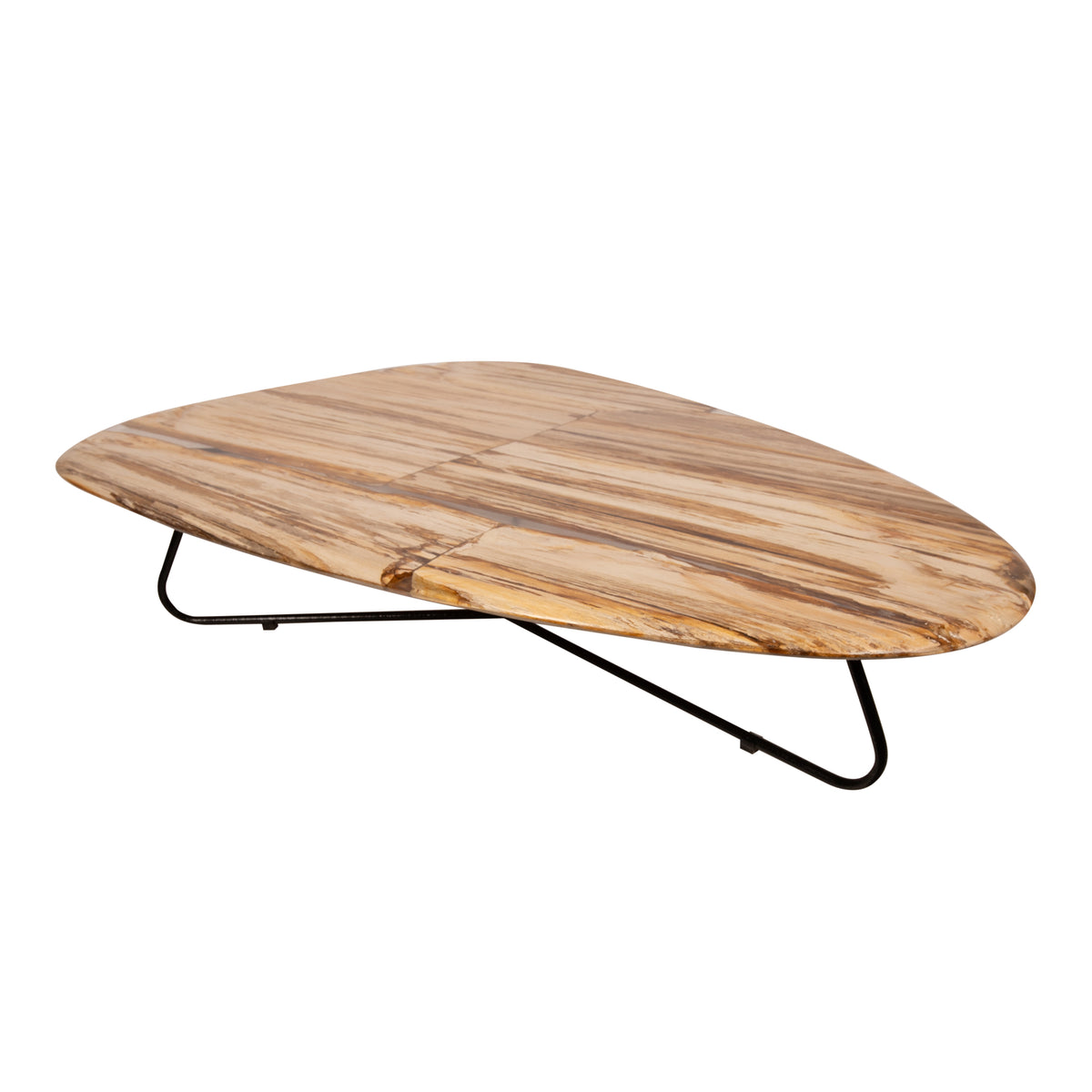 Couchtisch – Versteinertes Holz, Organische Form, Naturbelassene Oberfläche, L – Deeba | PTMD