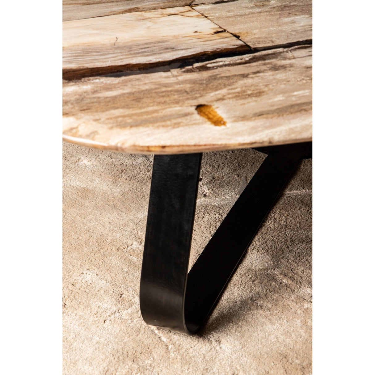 Coffee table – Petrified Wood, Organic Shape, Natural Surface, S – Deeba | PTMD