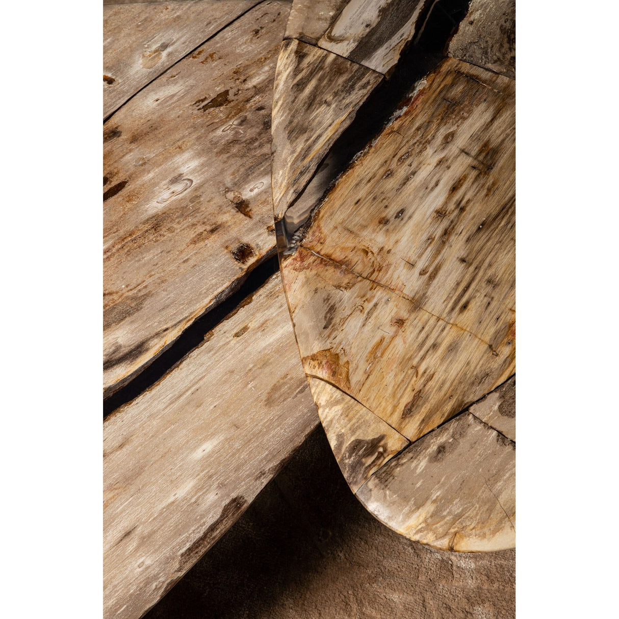 Coffee table – Petrified Wood, Organic Shape, Natural Surface, S – Deeba | PTMD