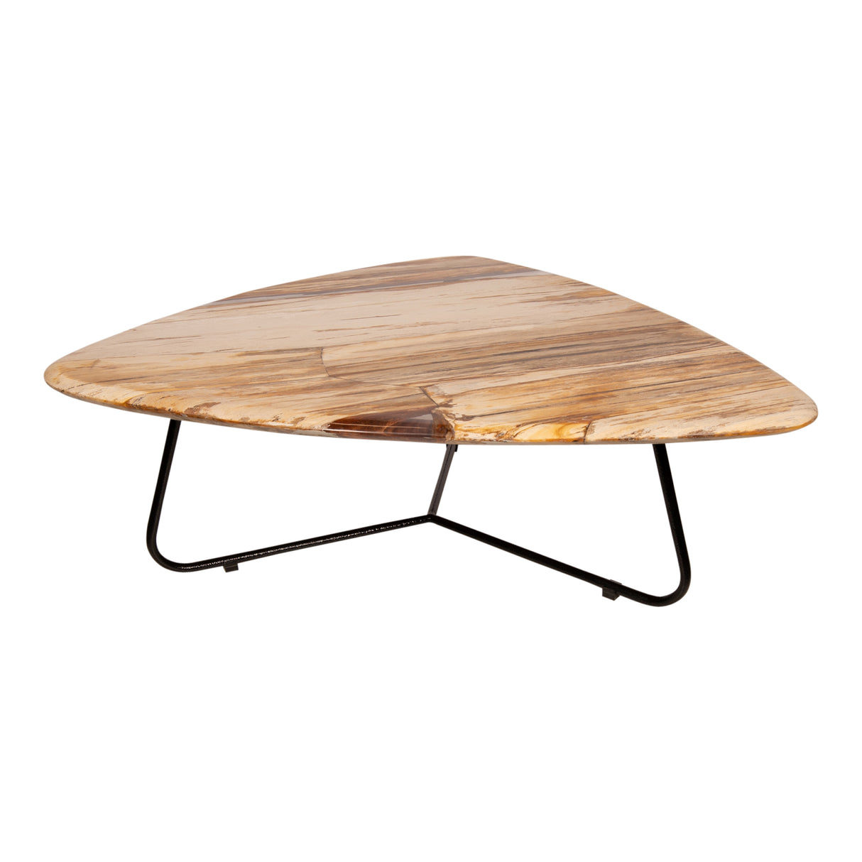 Coffee table – Petrified Wood, Organic Shape, Natural Surface, S – Deeba | PTMD