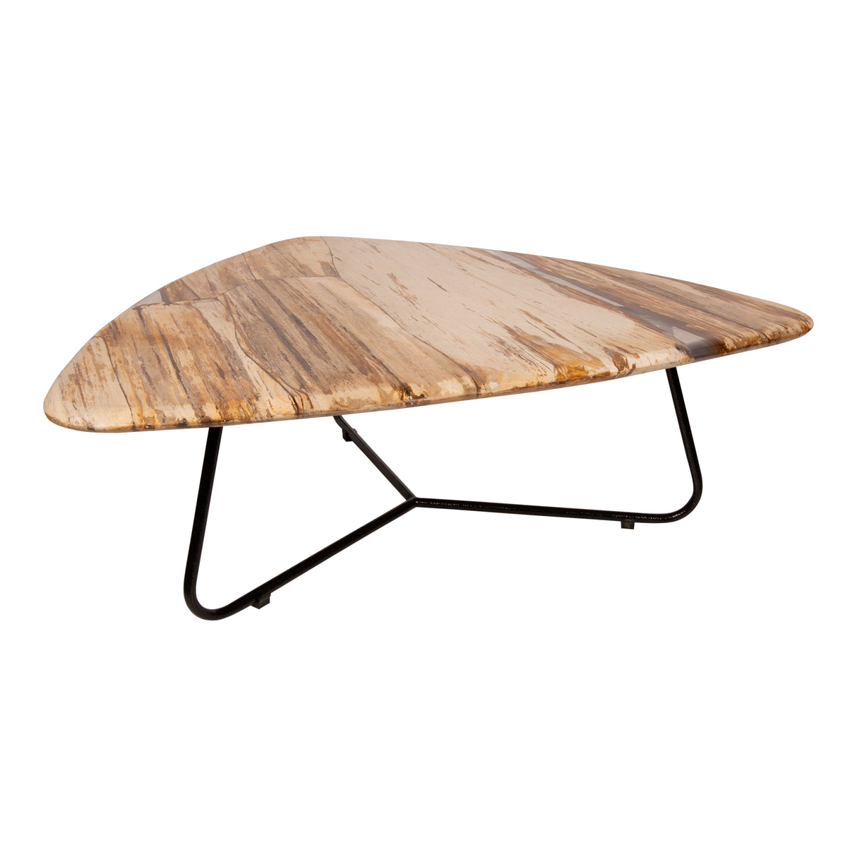 Coffee table – Petrified Wood, Organic Shape, Natural Surface, S – Deeba | PTMD