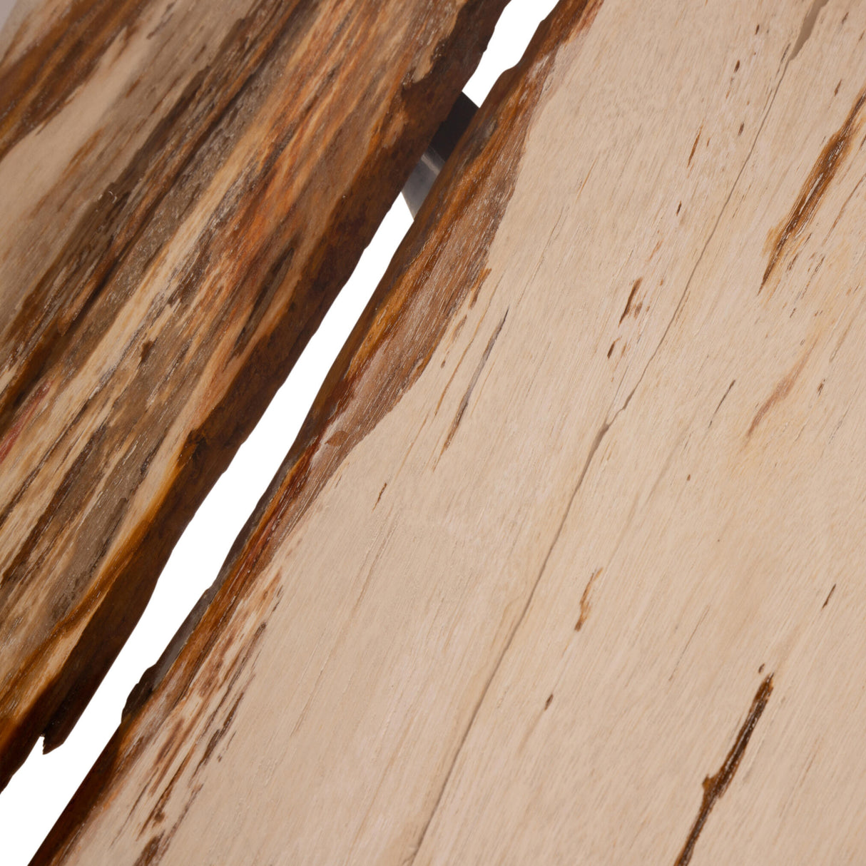 Coffee table – Petrified Wood, Organic Shape, Natural Surface, S – Deeba | PTMD
