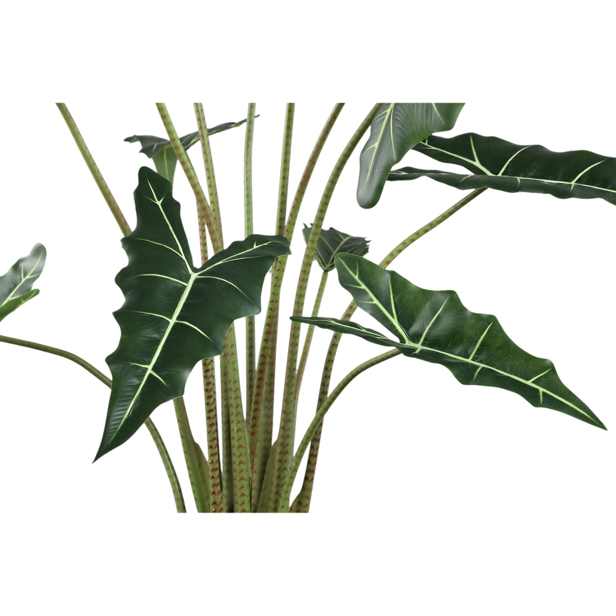 Artificial Plant - Alocasia Leaves, Fabric, Plastic, Semi-Handmade, L | PTMD