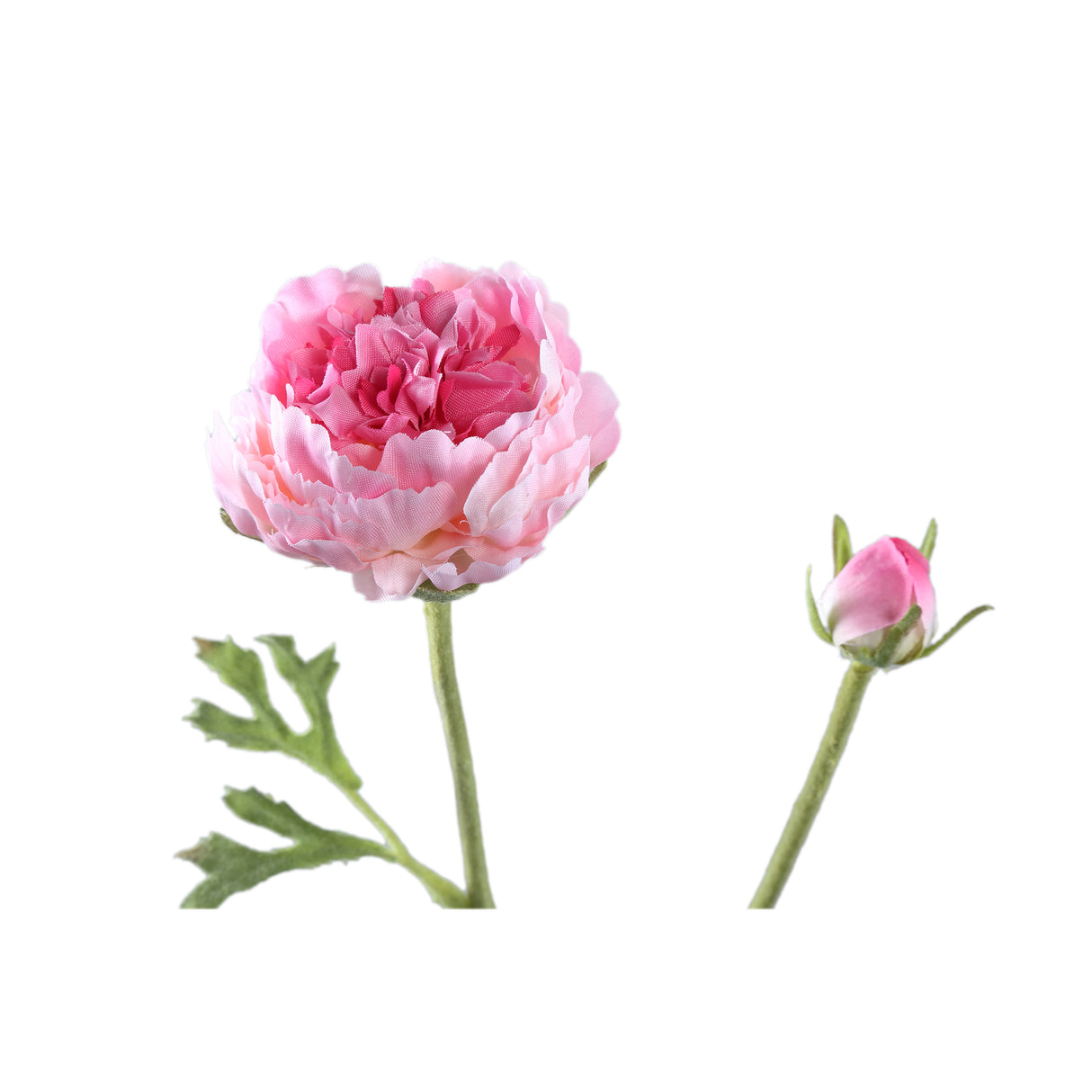 Ranunkelblume – Rosafarbener Ranunkelzweig mit Knospe und Blättern aus Polyestergewebe | PTMD