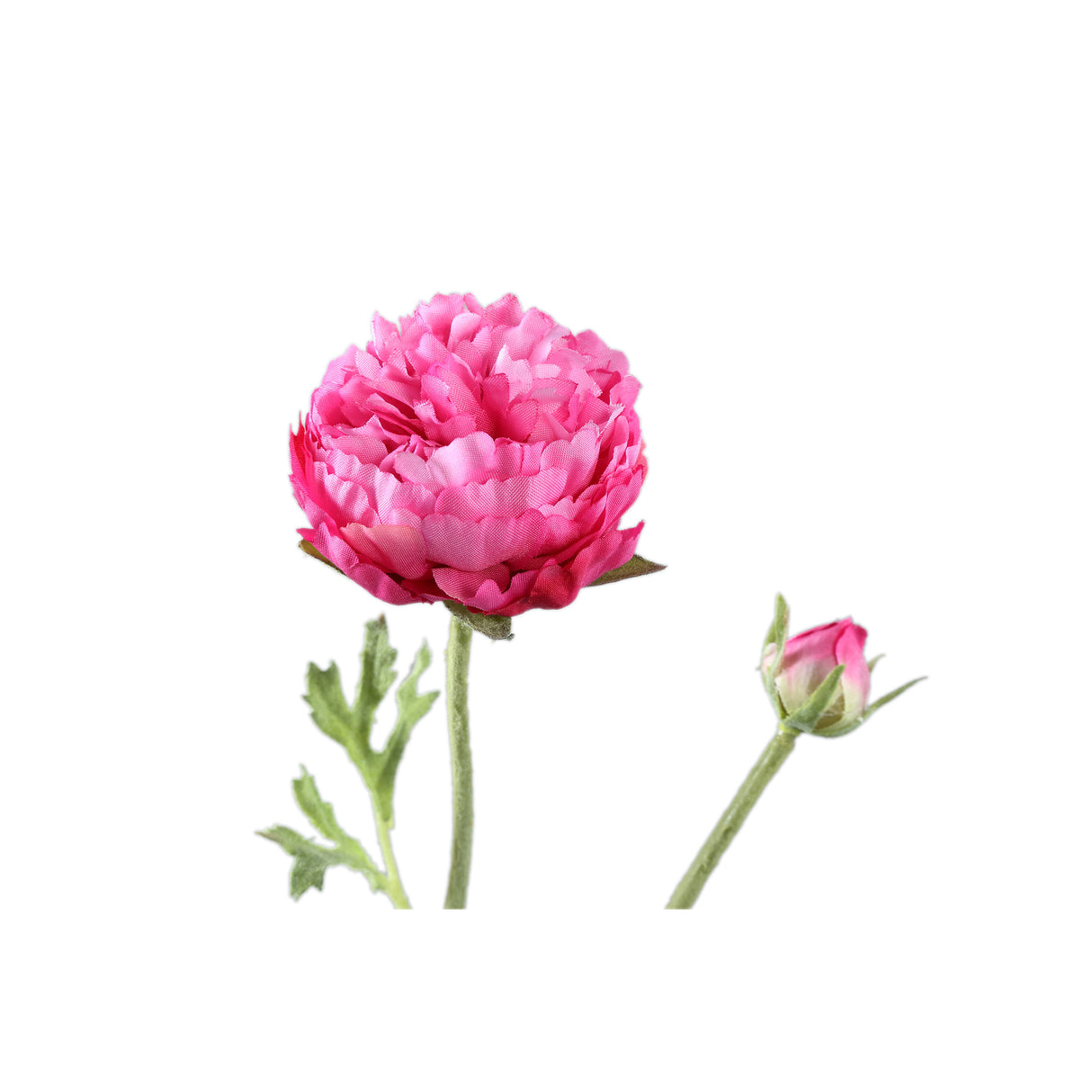 Ranunkelblume – Dunkelrosafarbener Ranunkelzweig mit Knospe und Blättern aus Polyestergewebe | PTMD