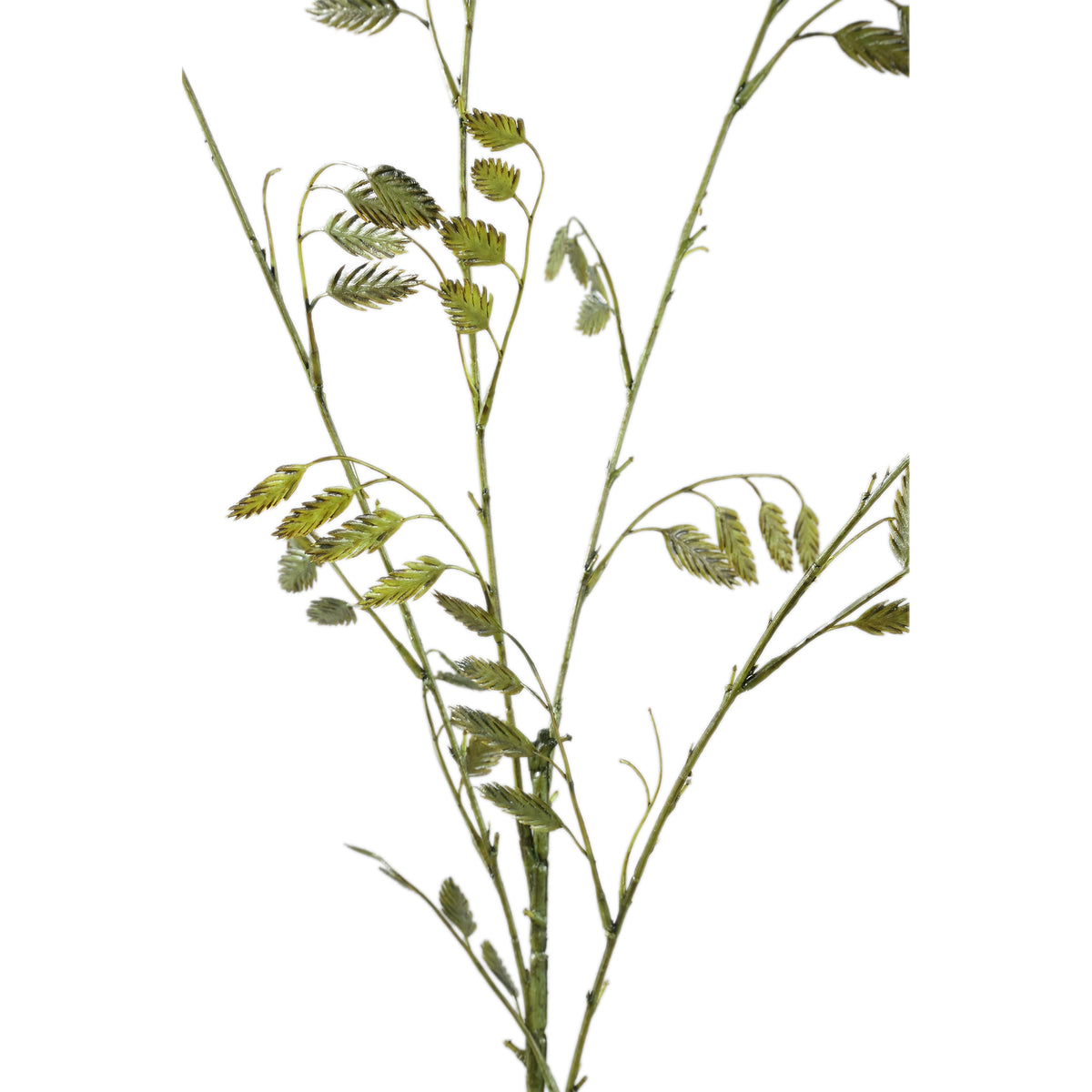 Kunstpflanze - Grünes Briza Gras Spray, Kunststoff, Handgefertigt | PTMD