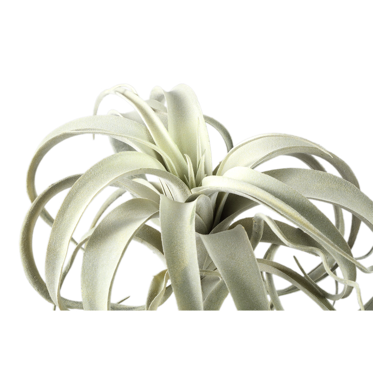 Kunstpflanze - Grüne Tillandsia Pick, Metall, Kunststoff | PTMD