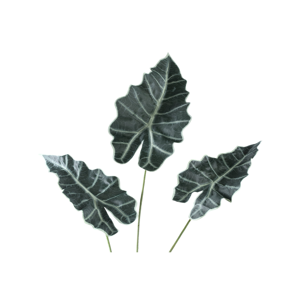 Artificial Plant - Green Alocasia Leaves Spray, Fabric, Iron Metal, Plastic | PTMD