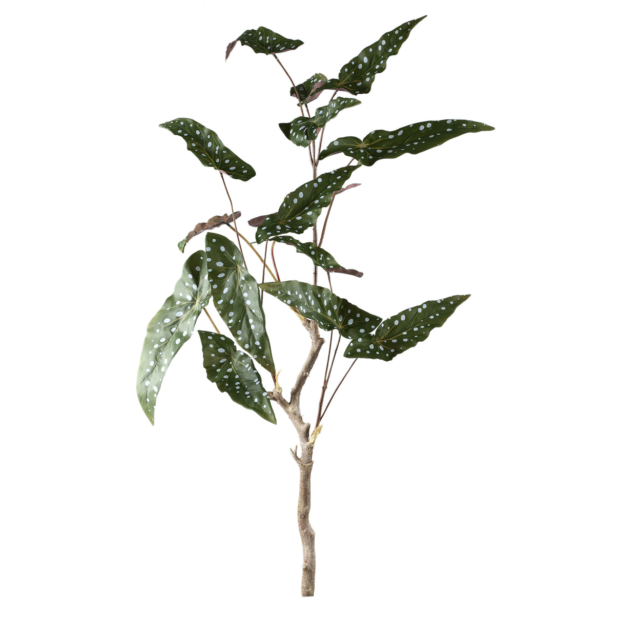 Artificial Plant - Green Begonia Leaf Bush, Fabric, Iron Metal, Plastic | PTMD