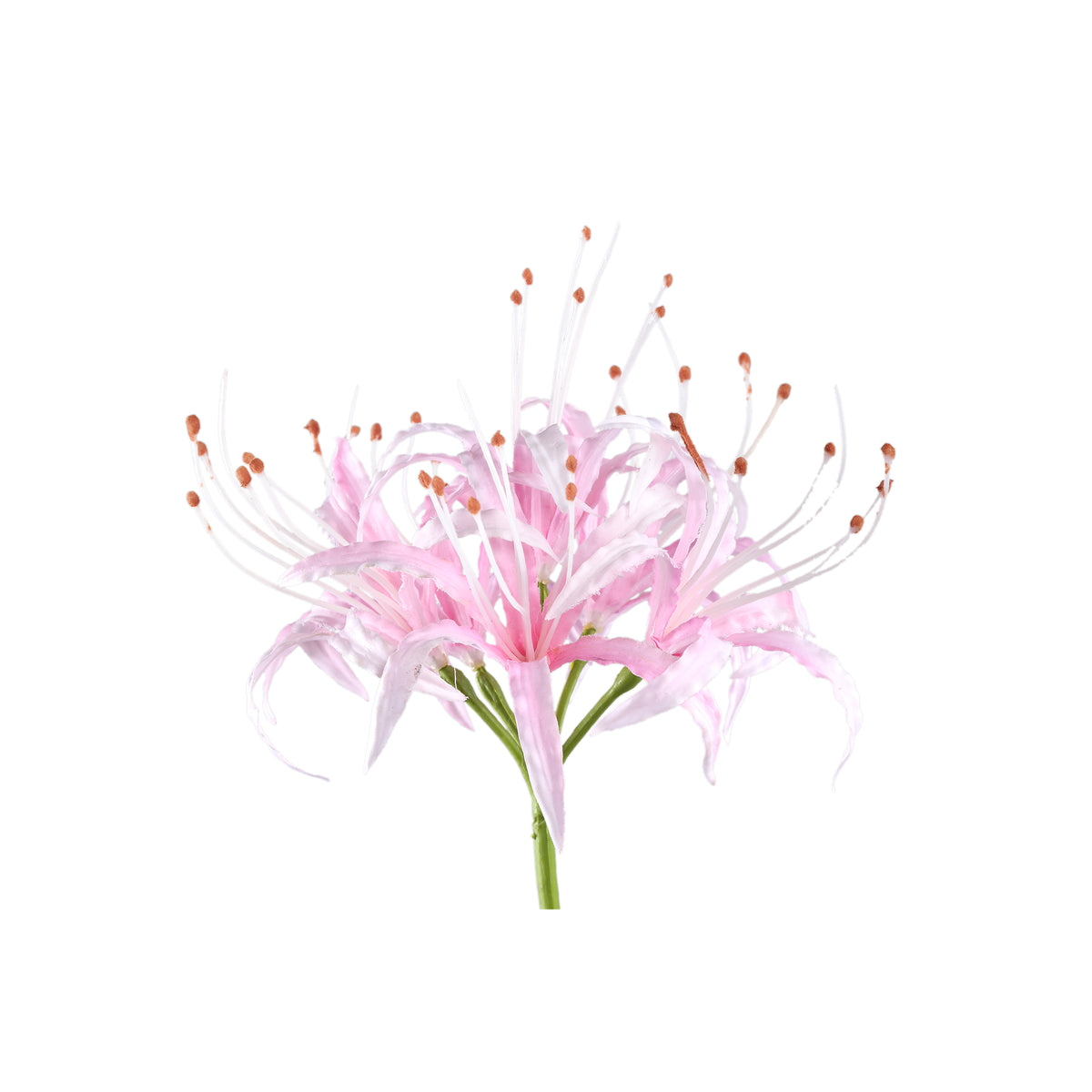 Lilienblume – Rosa Spinnenlilie, Kunststoff, Handgefertigt | PTMD