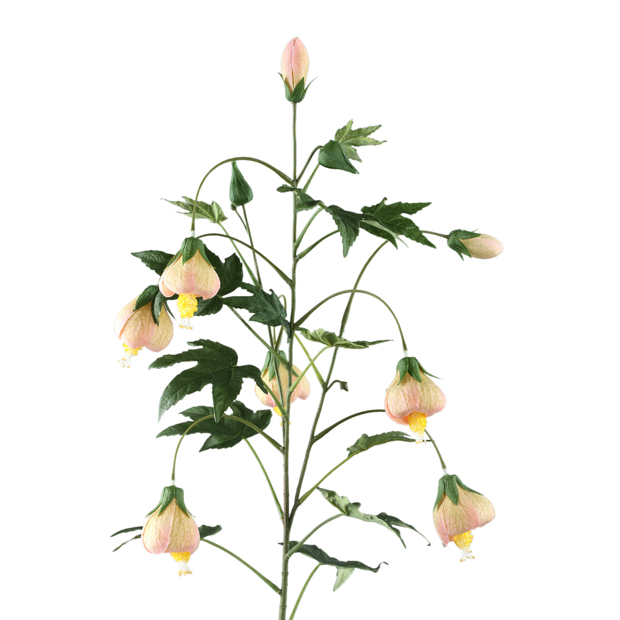 Gartenblume – Beiges gestreiftes Abutilon-Spray, Polyestergewebe, Handgefertigt | PTMD