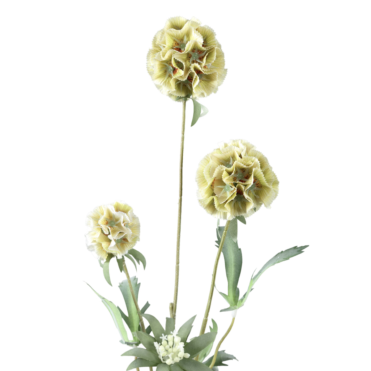 Gartenblume - Grüne Scabiosa Spray, Handgefertigt, Stoff, Kunststoff | PTMD
