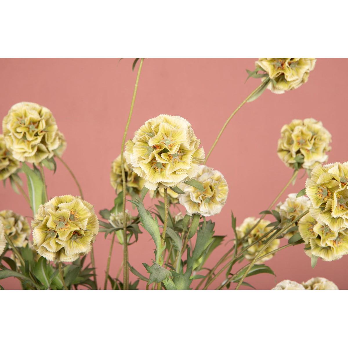 Gartenblume - Grüne Scabiosa Spray, Handgefertigt, Stoff, Kunststoff | PTMD