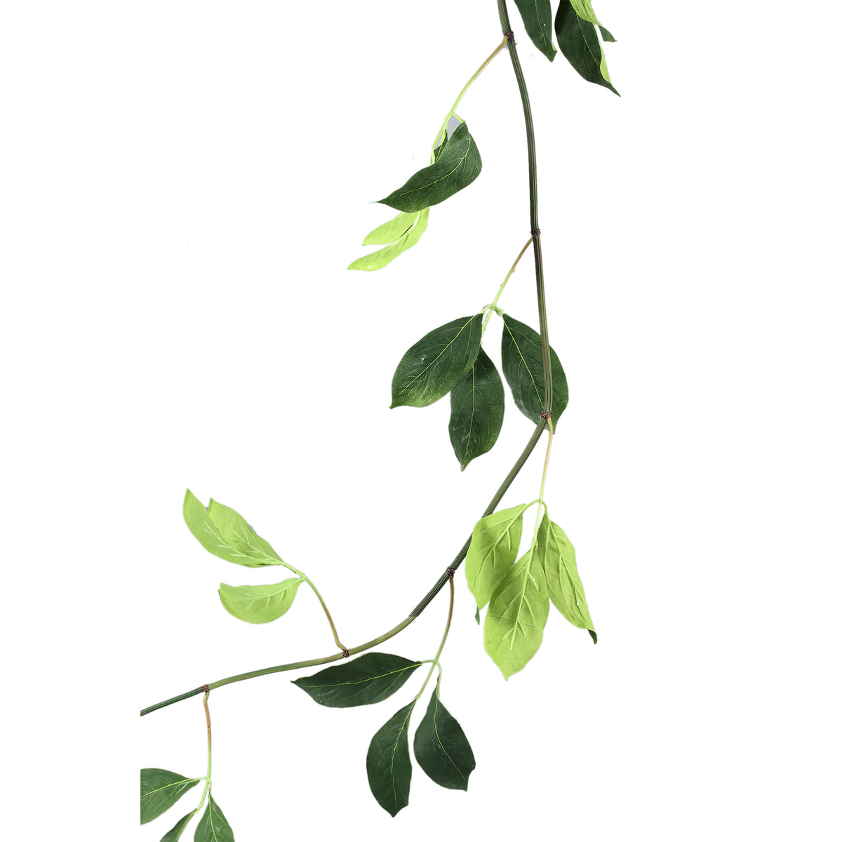 Leaf plant – Green Jade Vine Leaf Garland made of plastic | PTMD
