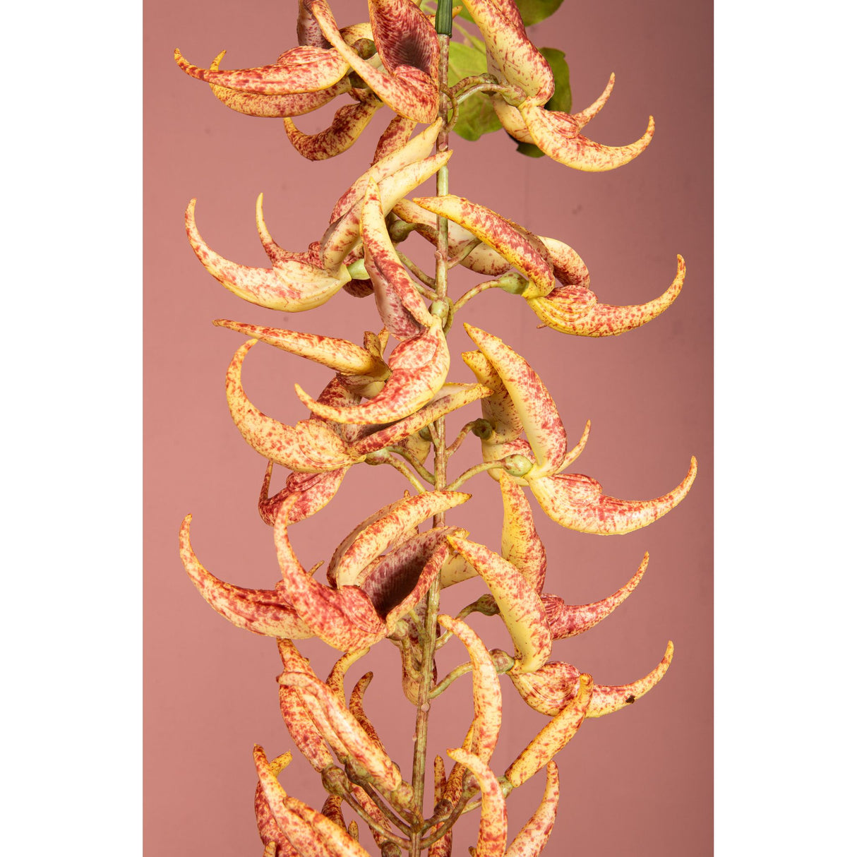 Gartenblume – Orange Strongylodon Spray, Handgefertigt, Kunststoff | PTMD
