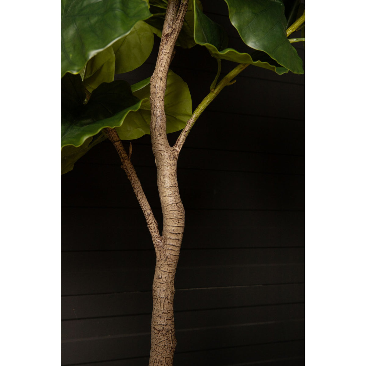 Tree green with ficus tree, potted and plastic, M | PTMD