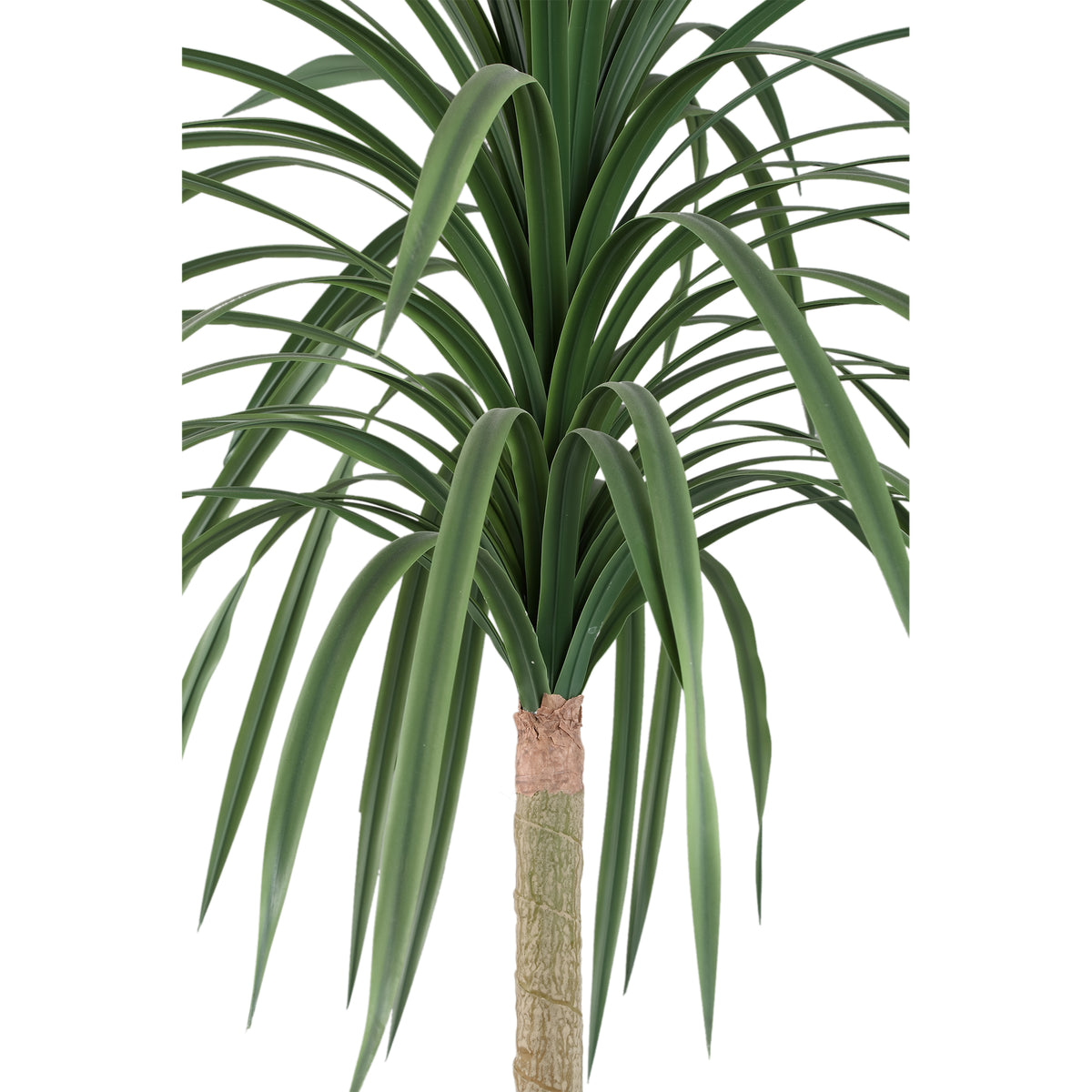 Baumgrün mit Chinesischem Lobelienbaum, im schwarzen Topf und aus Polyester | PTMD