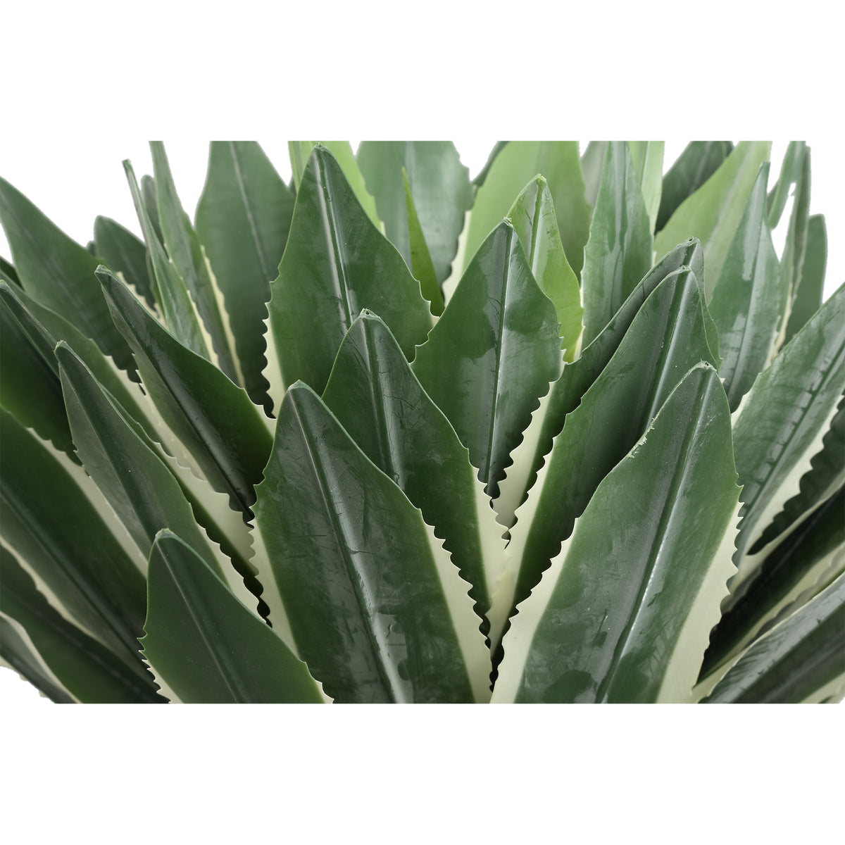 Sukkulentenpflanze mit grüner Agave und aus Polyester | PTMD