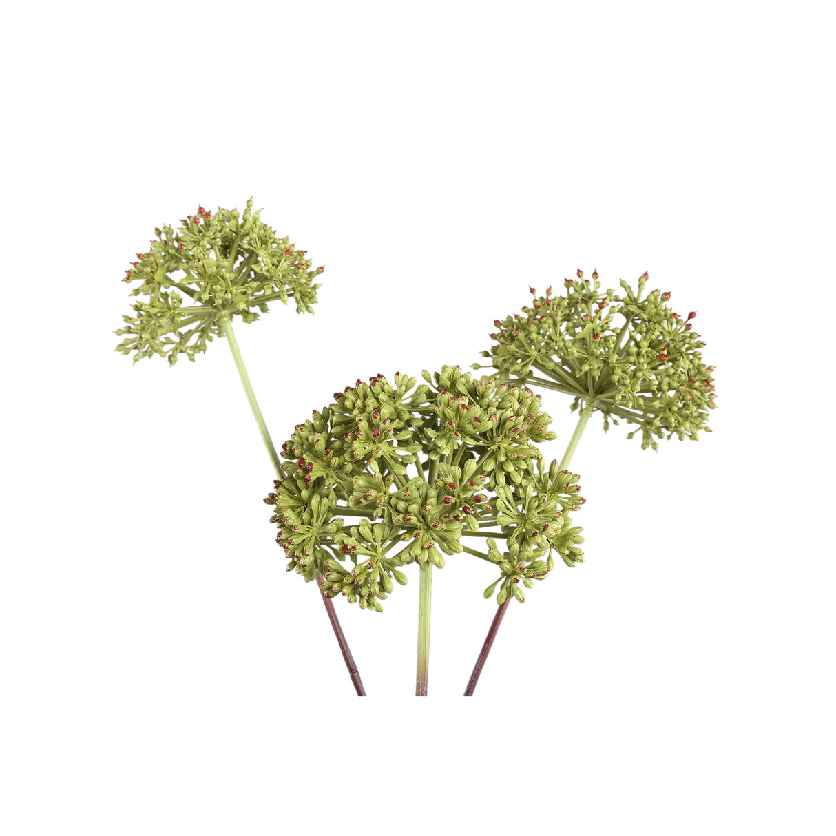 Garden flower – Dark green Angelica branch made of iron and PE plastic | PTMD