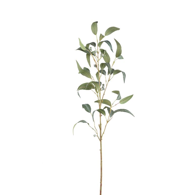 Blätterpflanze – Grüner Eukalyptus-Spray mit Samen Lang aus Polyestergewebe | PTMD