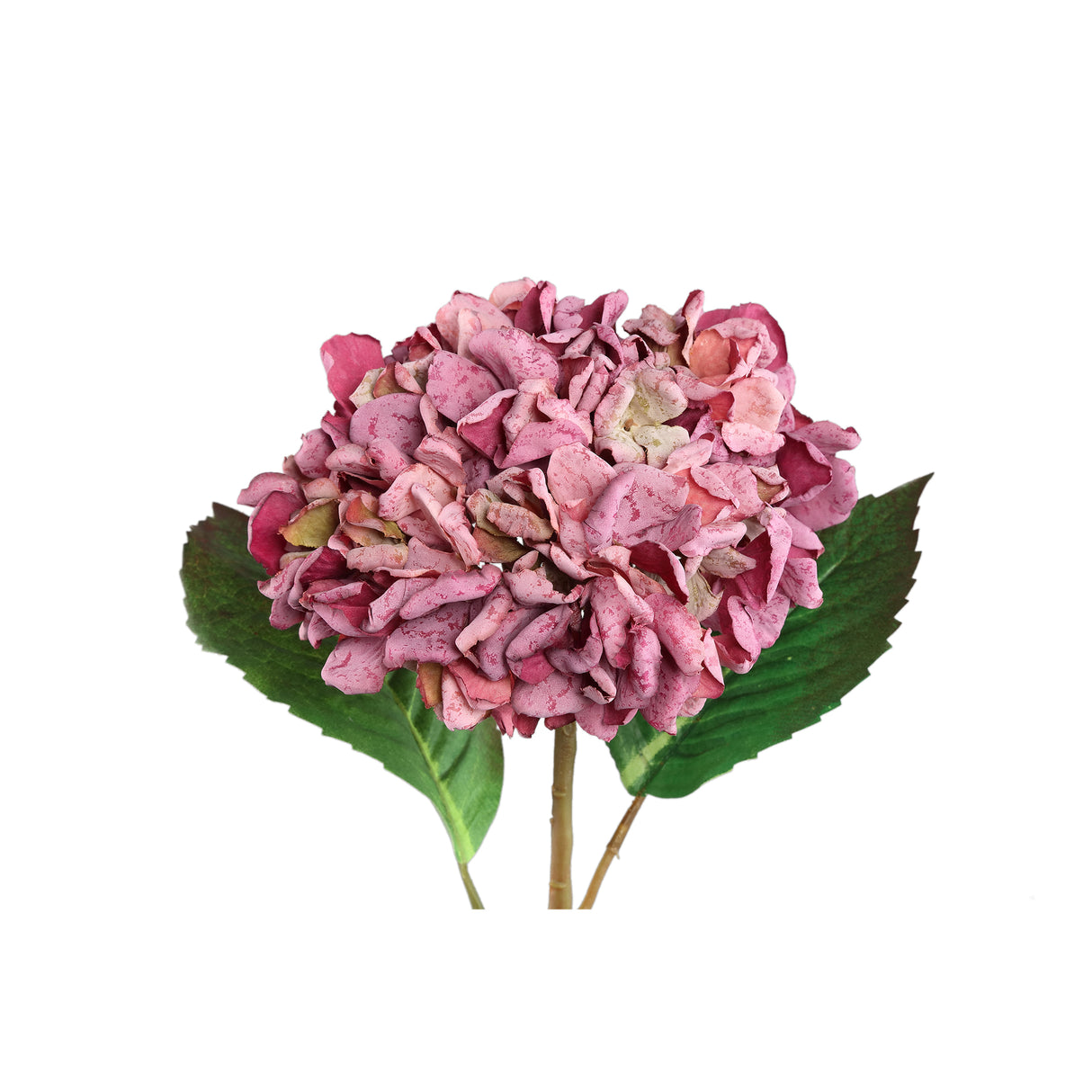 Hortensienblume - Rostfarbene Hortensienstängel, Polyestergewebe, L | PTMD