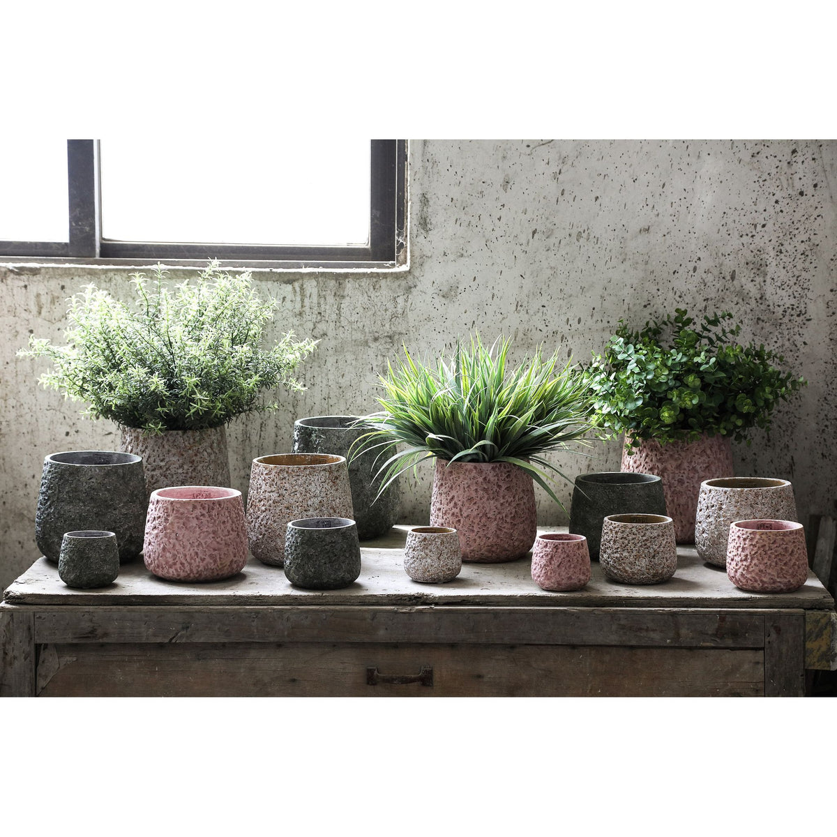 Blumentopf - Runder Zement, Raue Musteroberfläche, Weiß, S – Ziven | PTMD