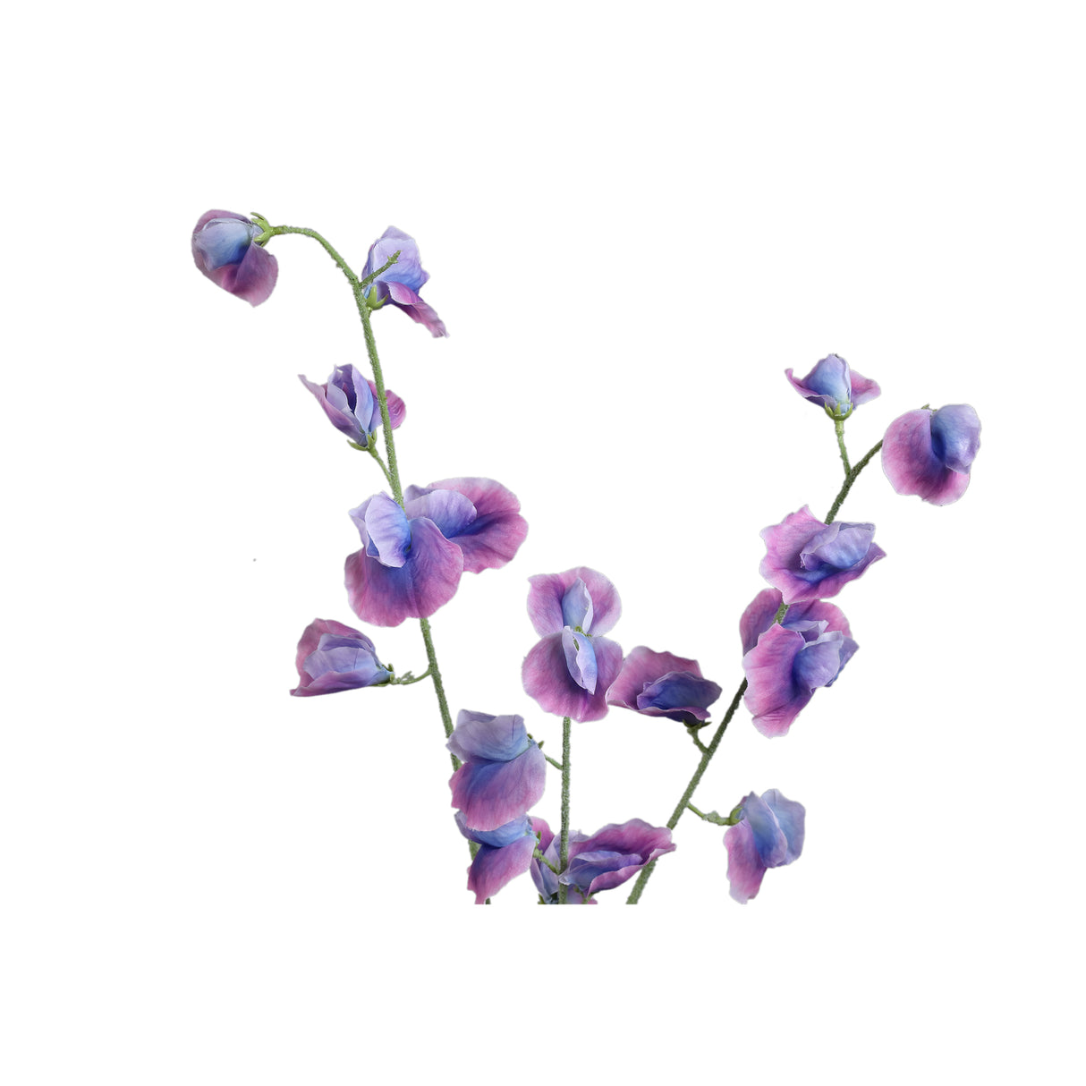 Gartenblume - Grüne Scabiosa Spray, Stoff, Kunststoff | PTMD